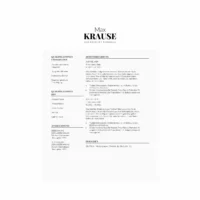 02 - CV po niemiecku wzór do wypełnienia – idealny dla kandydatów 3